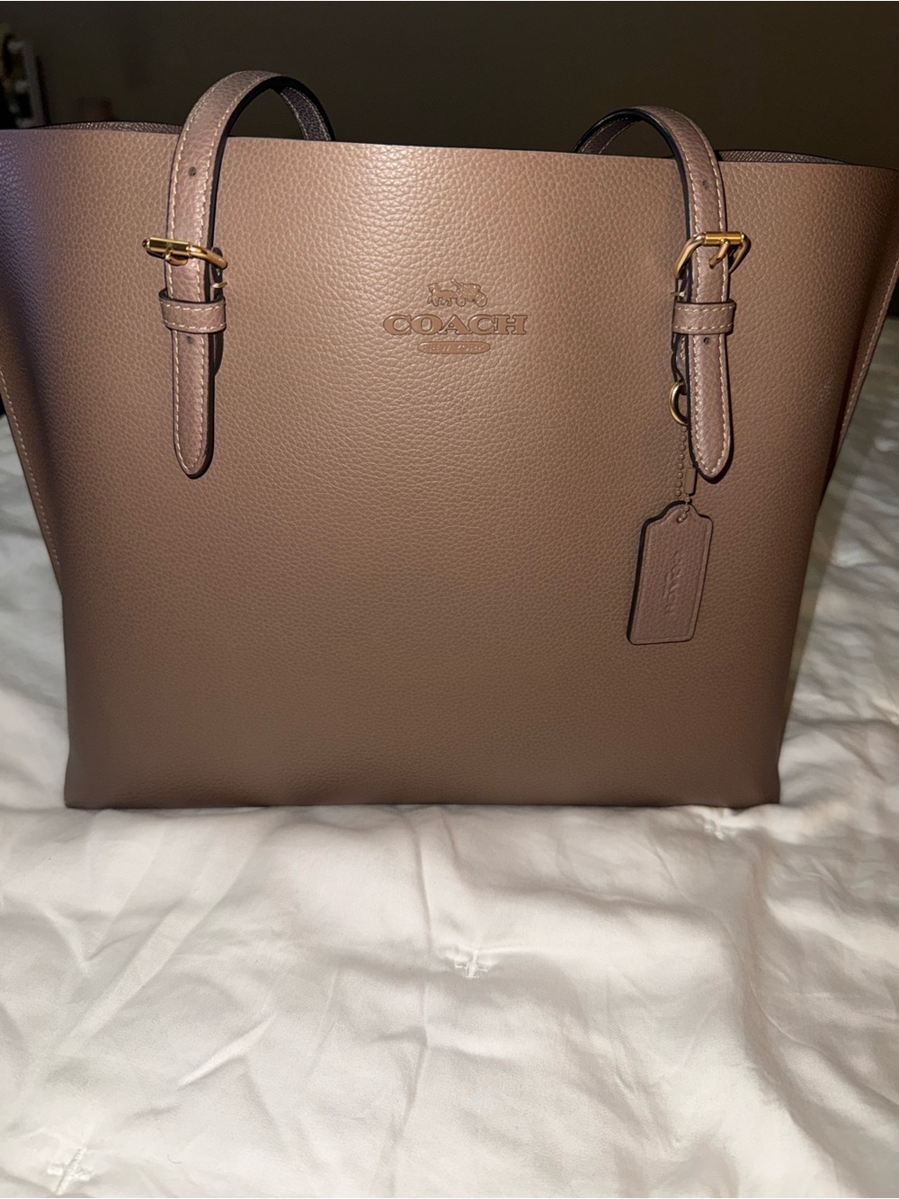 COACH Pebbled Leather Tote in Taupe Brown with Gold Hardware
